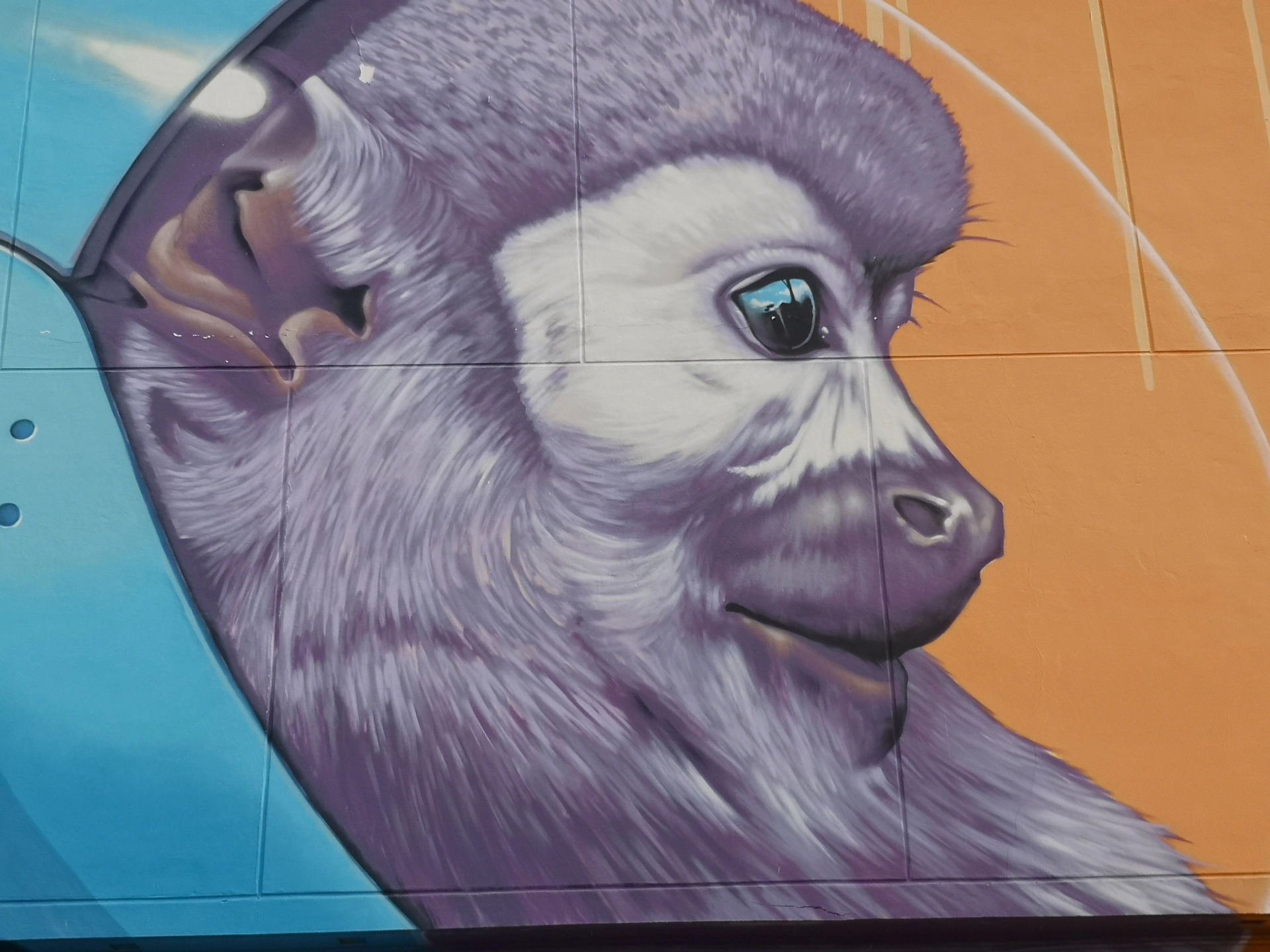 Oeuvre de Street Art à Kourou