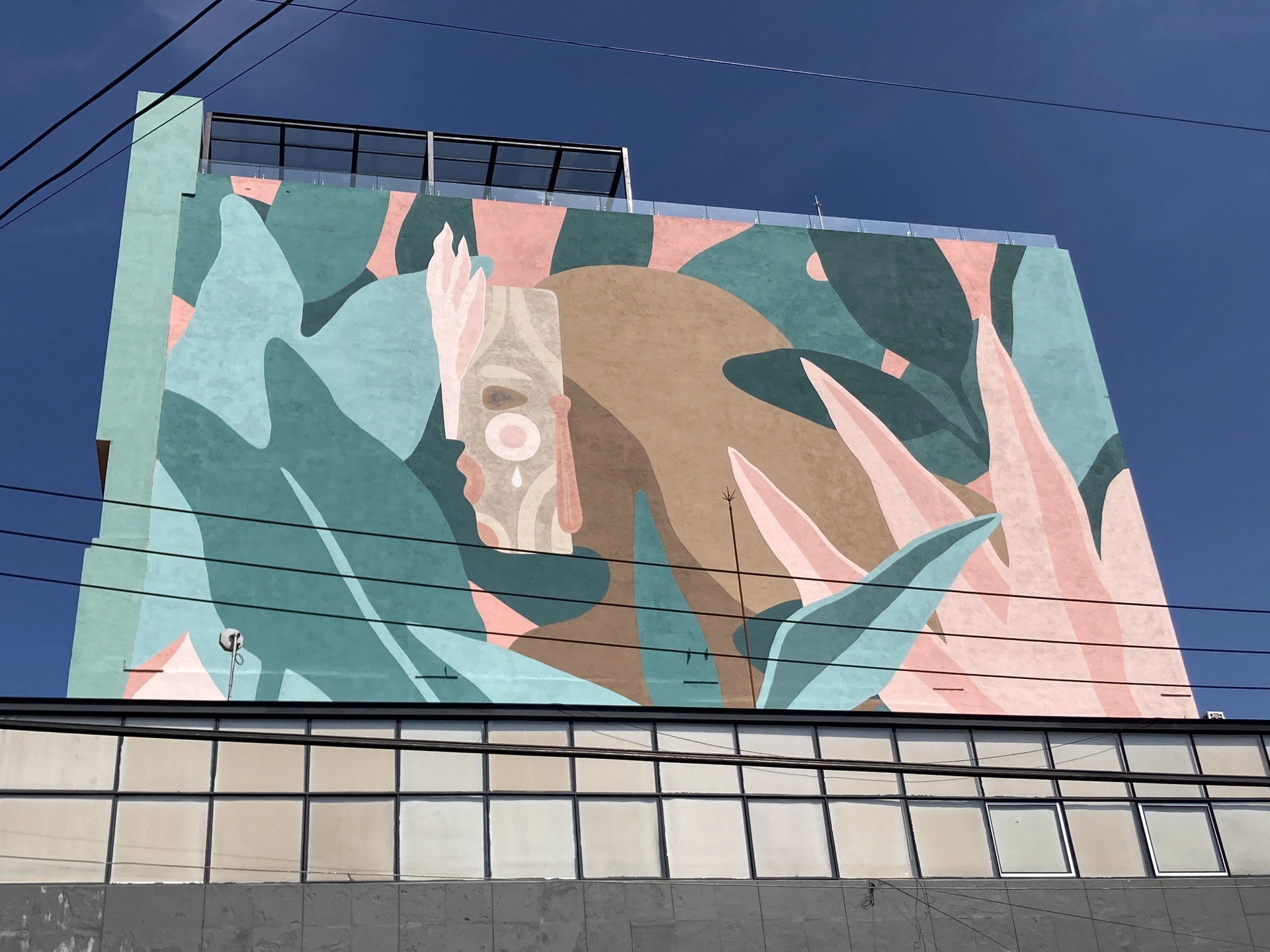 Oeuvre de Street Art à Plan de Ayala