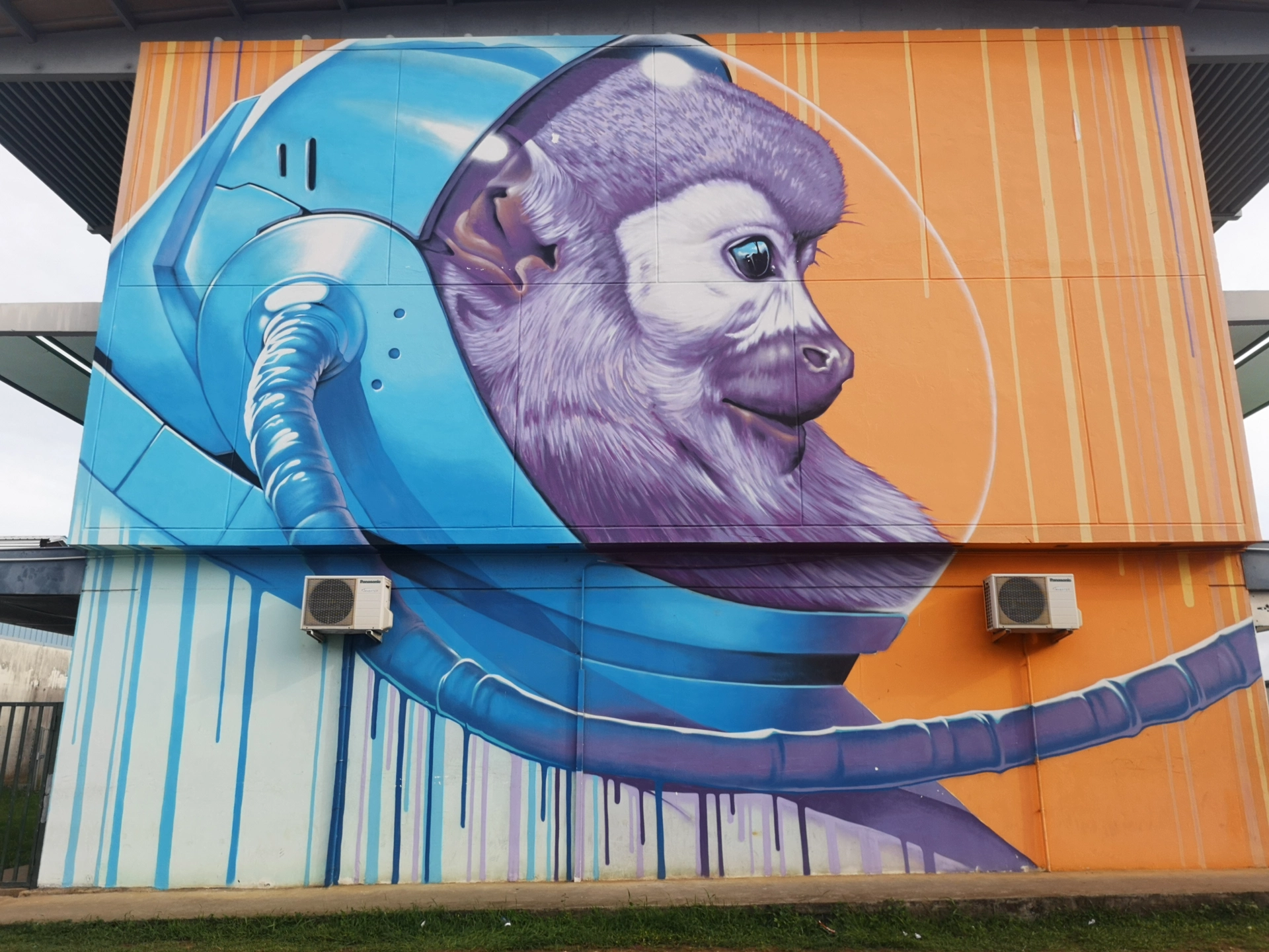 Oeuvre de Street Art à Kourou