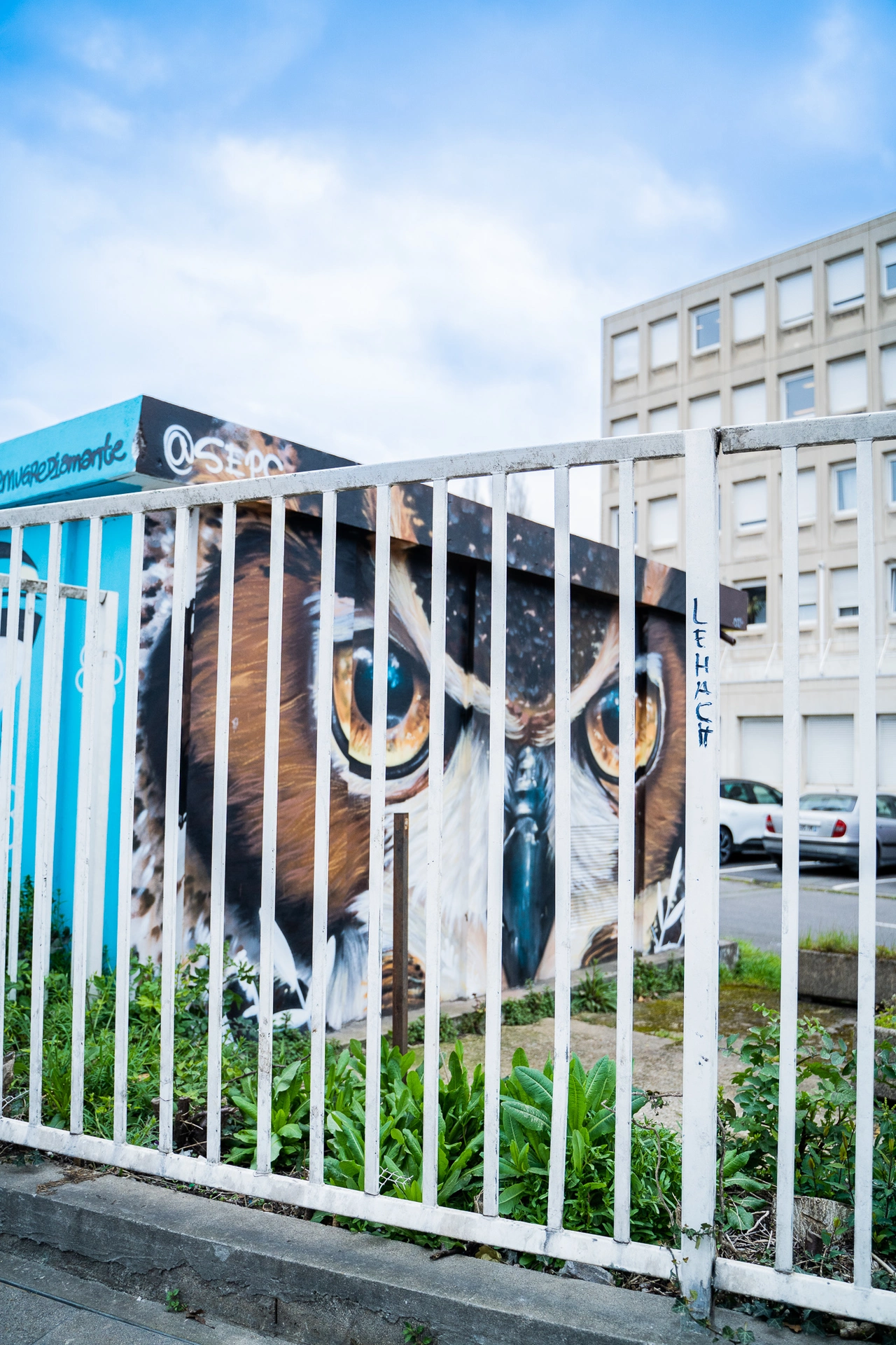 Oeuvre de Street Art réalisée par Mugre diamante à Saint-Denis