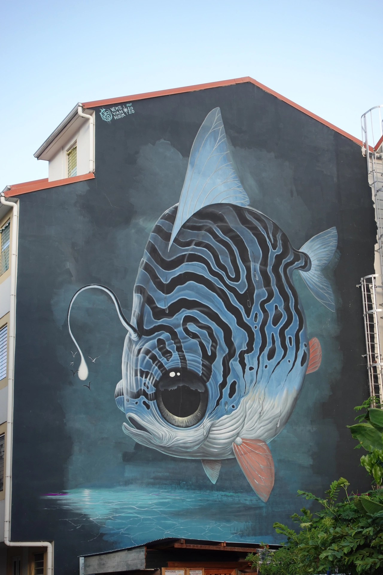 Oeuvre de Street Art réalisée par Veks van hillik à Fort-de-France