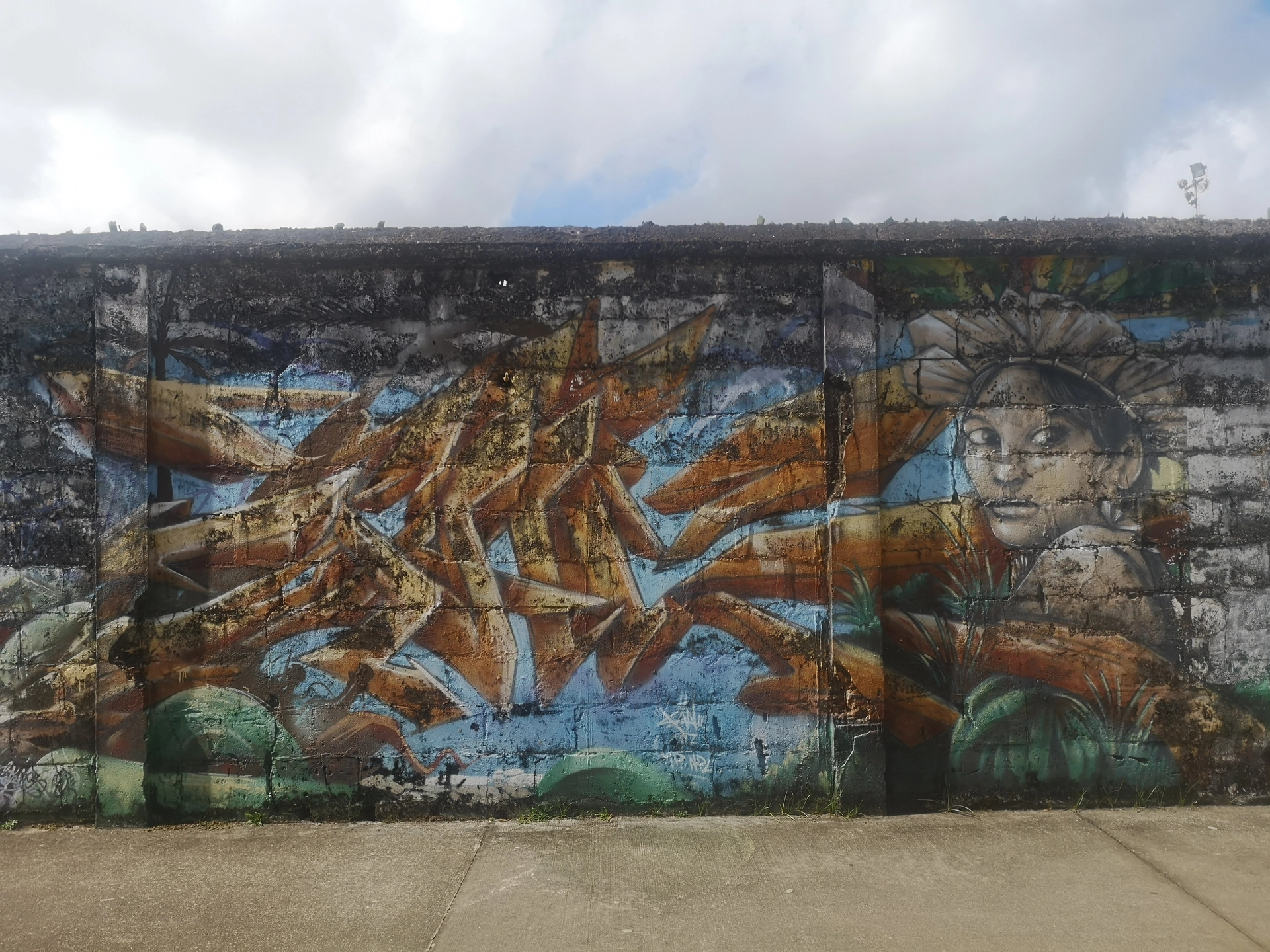 Oeuvre de Street Art à Cayenne