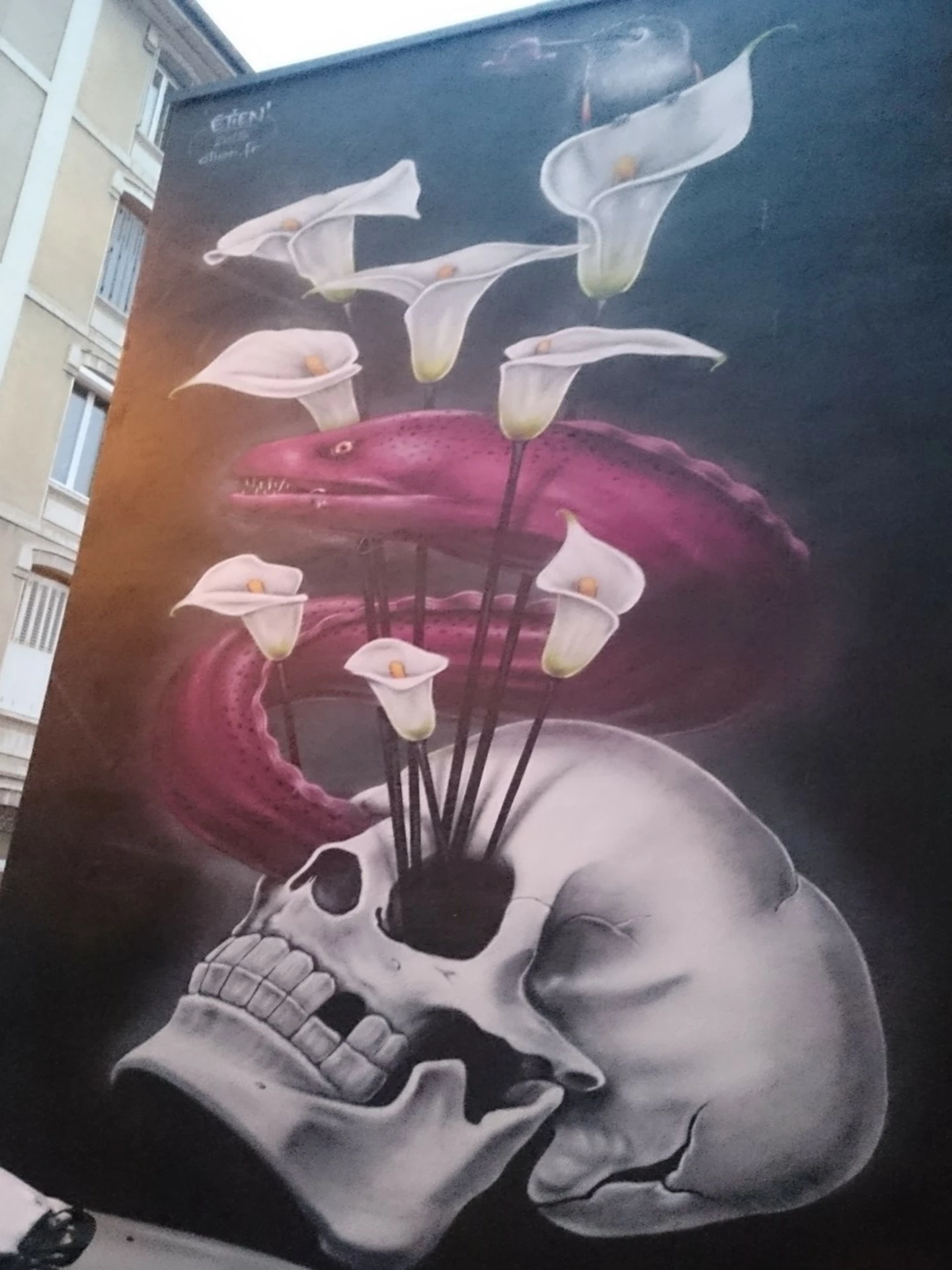 Oeuvre de Street Art à Grenoble