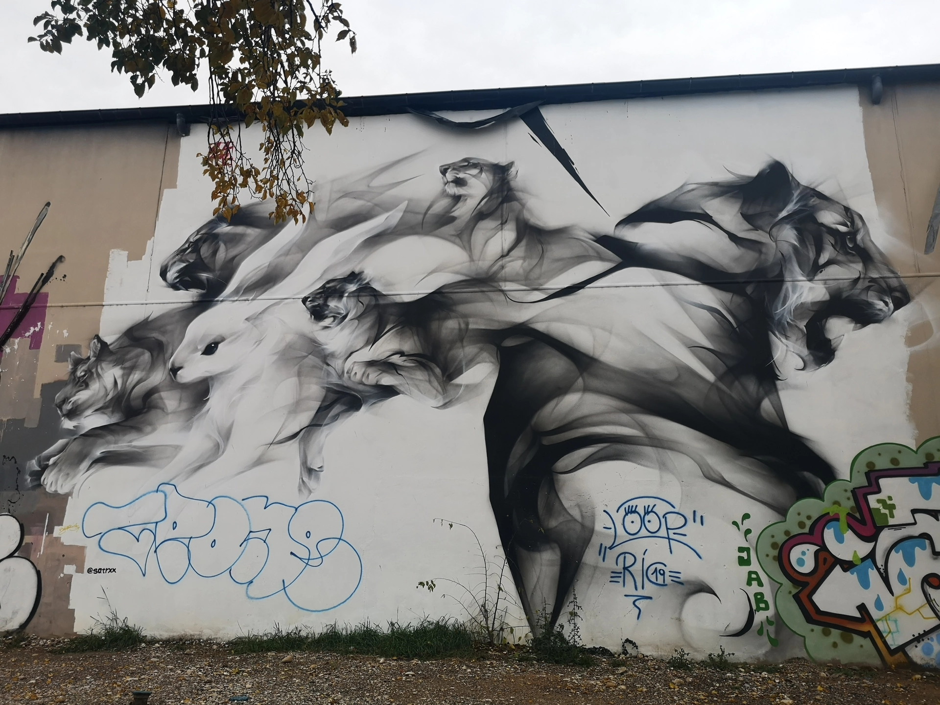 Oeuvre de Street Art à Lyon