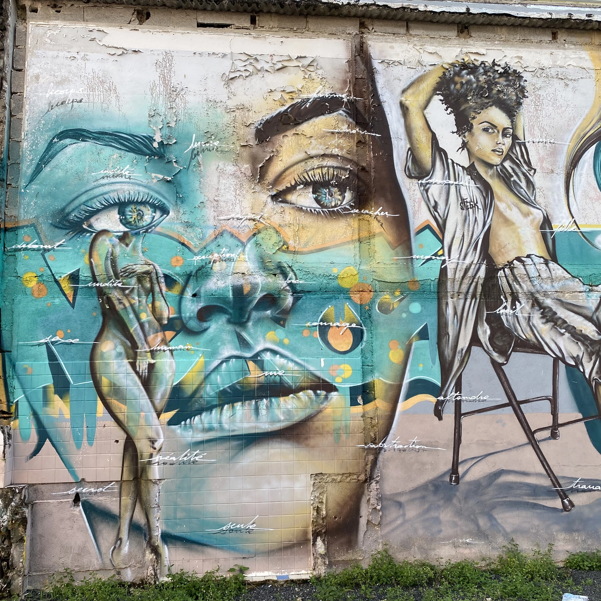 Oeuvre de Street Art à Pointe-à-Pitre