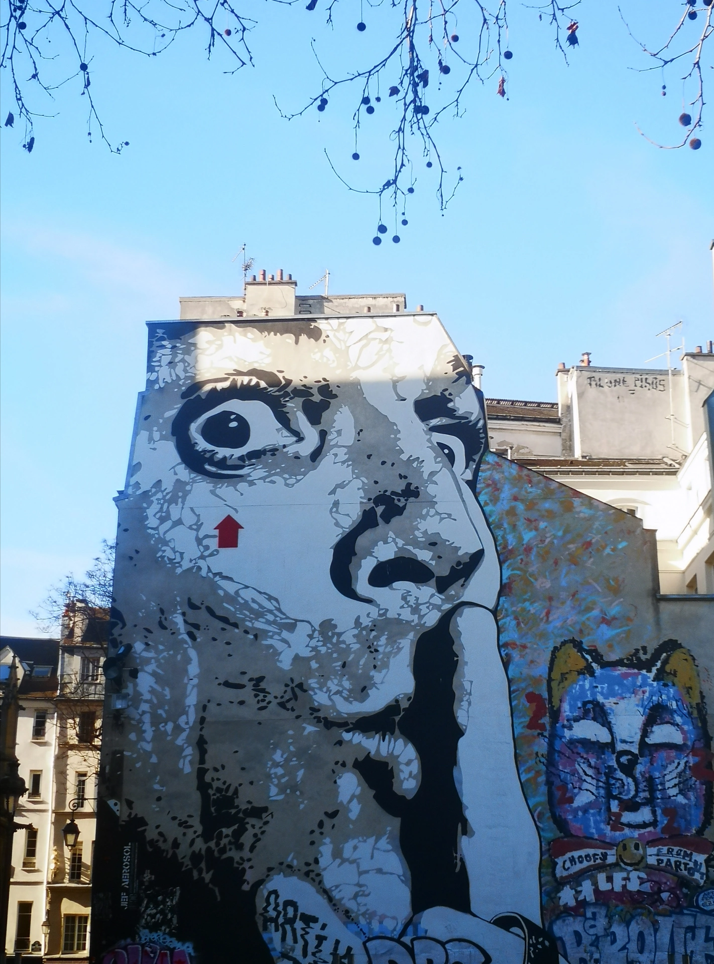 Oeuvre de Street Art réalisée par Jef Aérosol à Paris