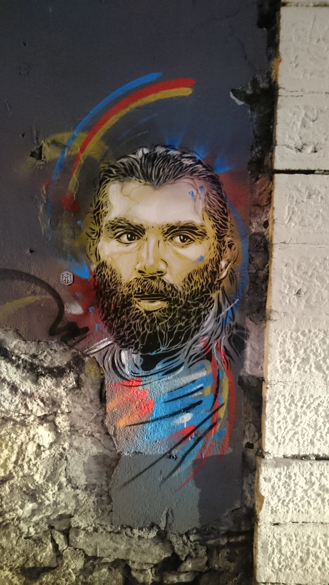 Oeuvre de Street Art réalisée par C215 à Grenoble