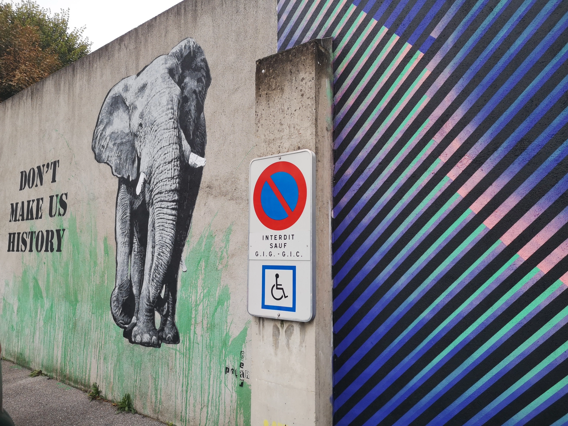 Oeuvre de Street Art réalisée par Bear Polar à Champigny-sur-Marne
